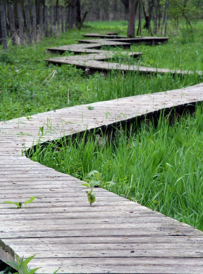 winding footbridge